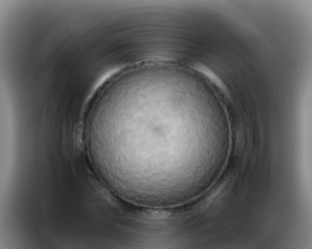 X0000086790878200704201841