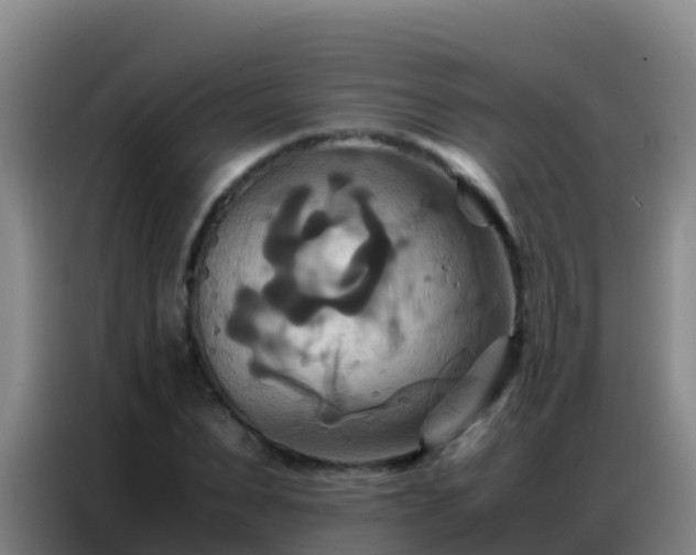 X0000086790879200704201841
