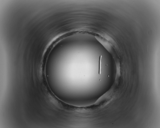 X0000086790880200704201841