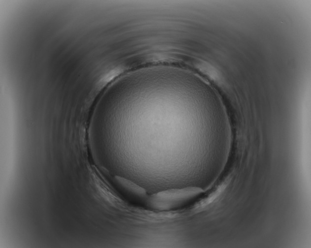 X0000086790881200704201841