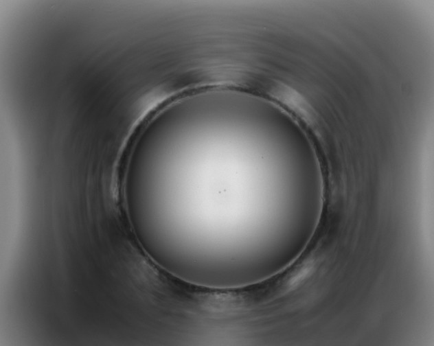 X0000086790883200704201841