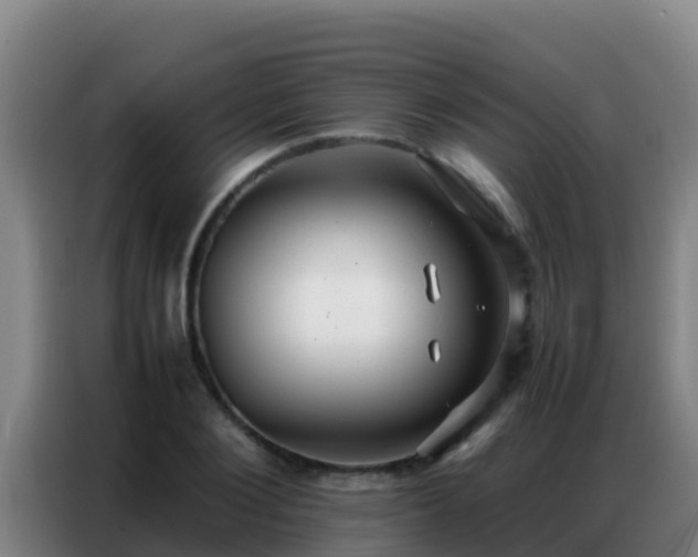 X0000086790884200704201841