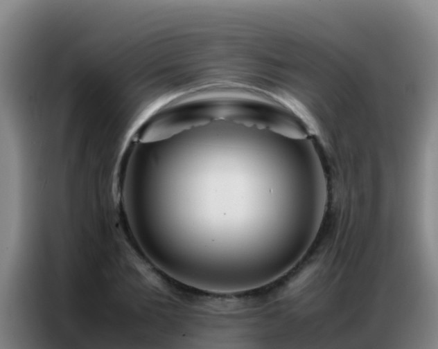 X0000086790885200704201841