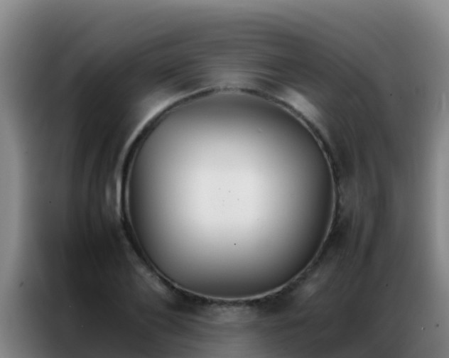 X0000086790886200704201841