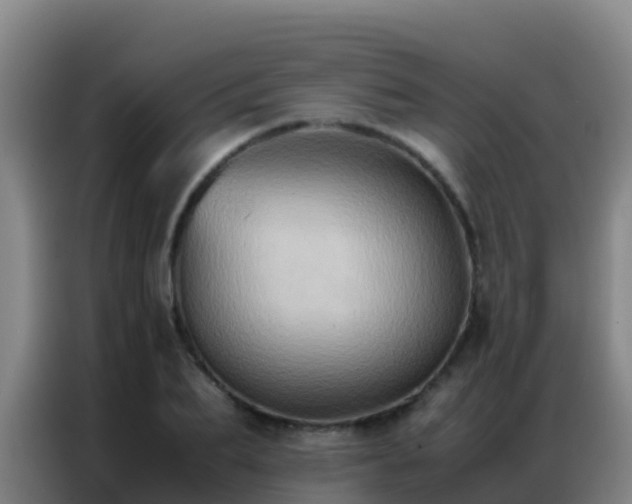 X0000086790887200704201841