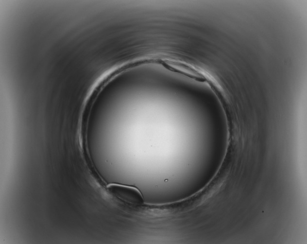 X0000086790888200704201841
