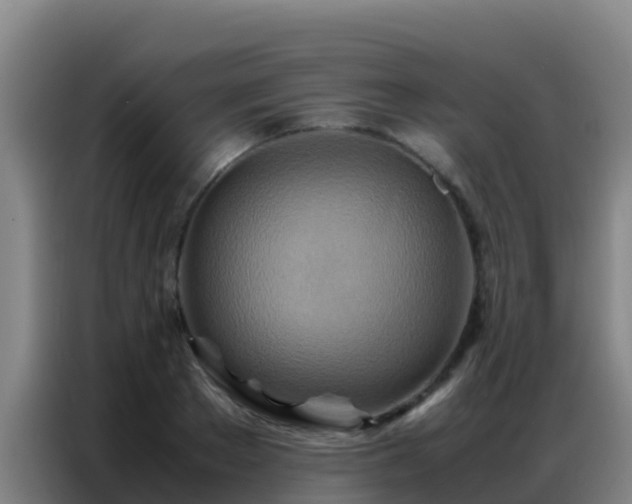 X0000086790889200704201841