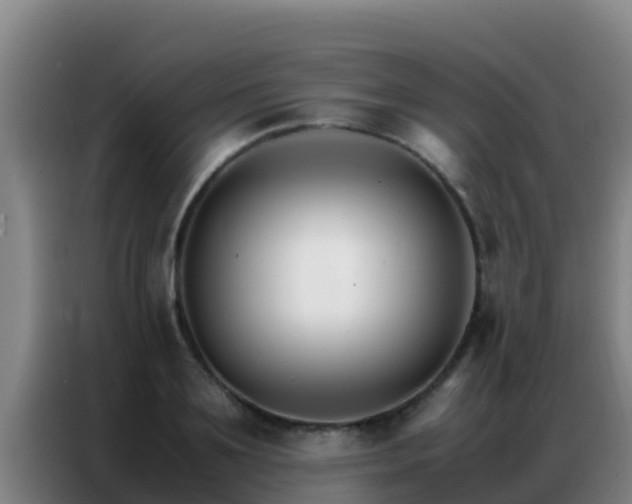 X0000086790891200704201841