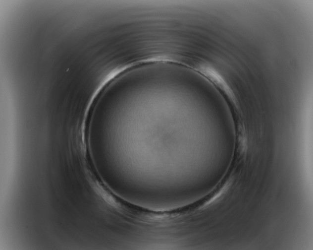 X0000086790892200704201841