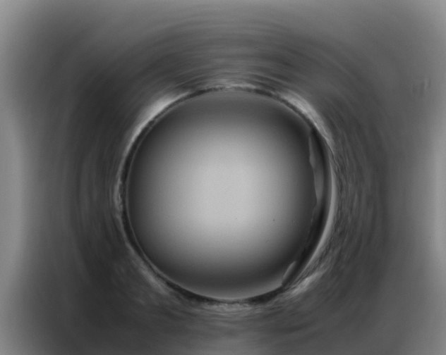 X0000086790893200704201841