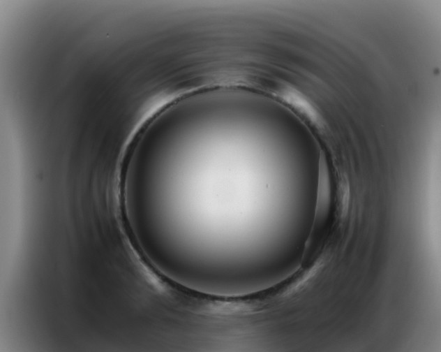 X0000086790894200704201841