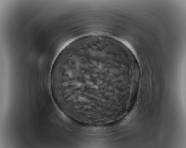 X0000086790895200704201841