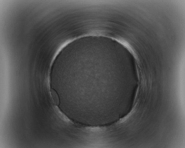 X0000086790896200704201841