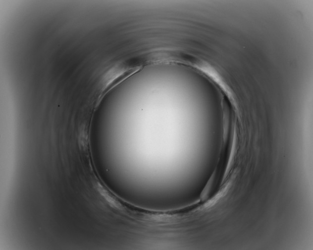X0000086790897200704201841