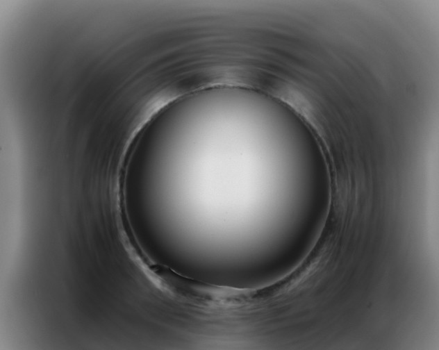 X0000086790898200704201841