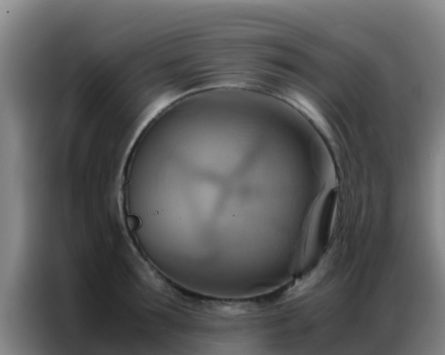 X0000086790899200704201841