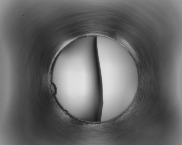 X0000086790900200704201841