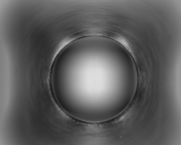 X0000086790901200704201841
