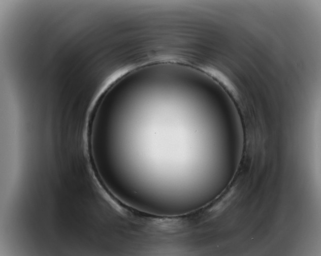 X0000086790902200704201841