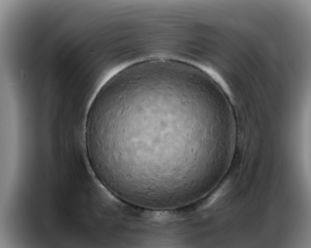 X0000086790903200704201841