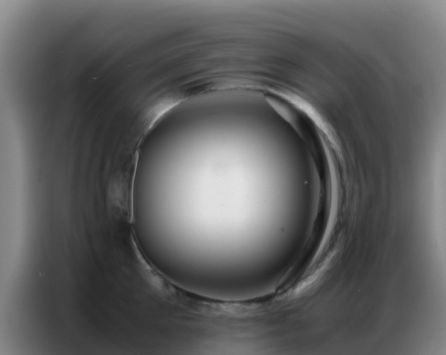 X0000086790905200704201841