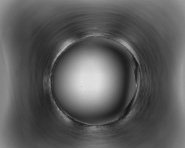 X0000086790906200704201841