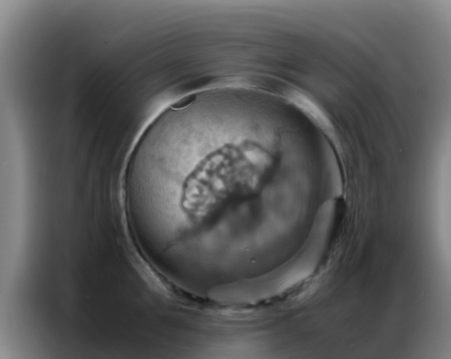 X0000086790907200704201841