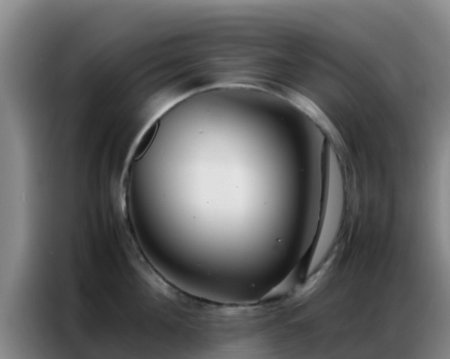X0000086790908200704201841