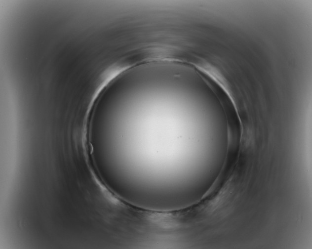 X0000086790909200704201841