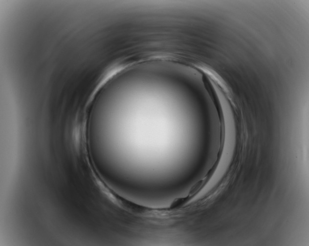 X0000086790910200704201841