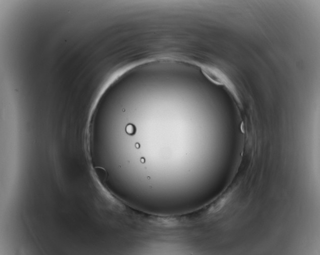 X0000086790911200704201841