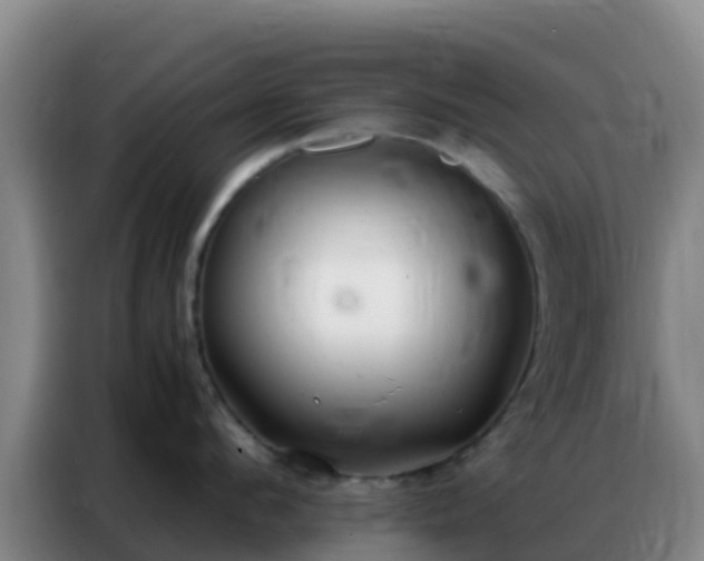 X0000086790912200704201841
