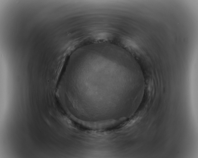 X0000086790916200704201840