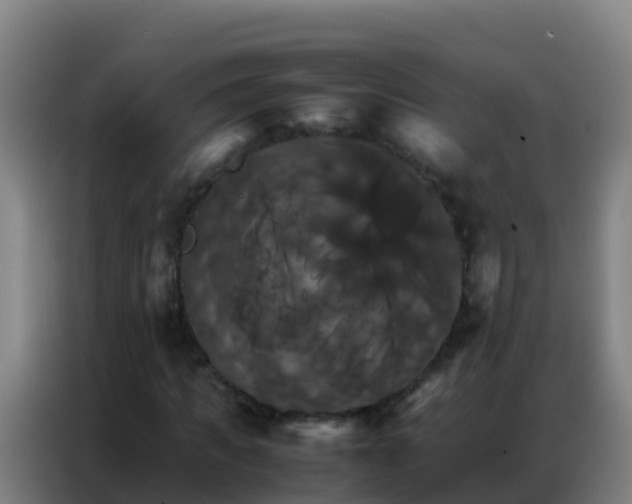 X0000086790917200704201840