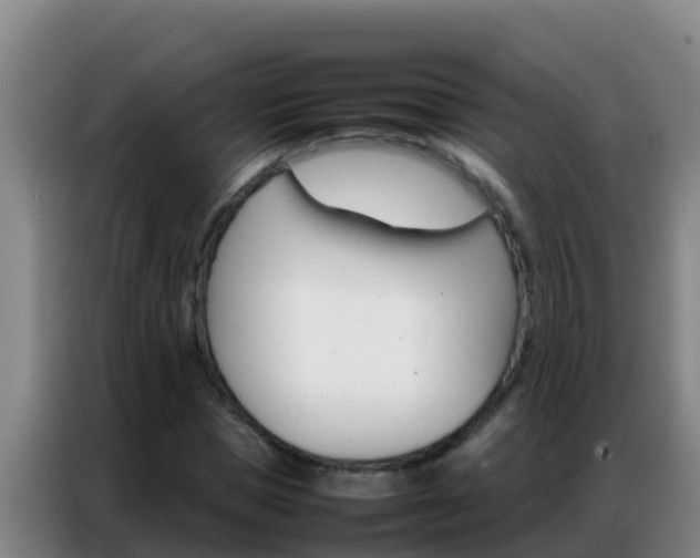 X0000086790921200704201840