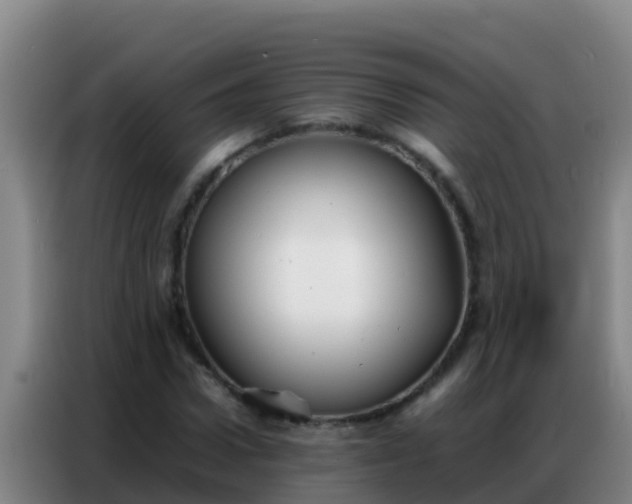 X0000086790922200704201840