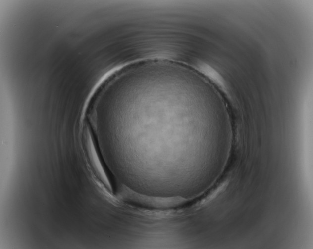 X0000086790924200704201841