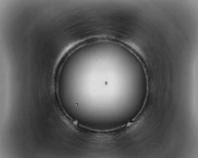 X0000086790927200704201841