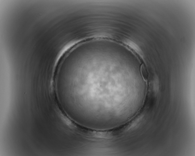 X0000086790928200704201841
