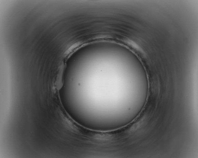 X0000086790929200704201841