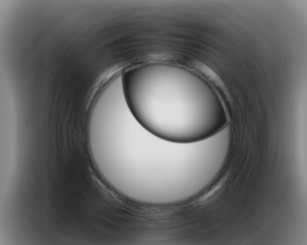 X0000086790930200704201841
