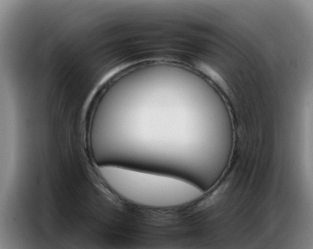X0000086790931200704201841