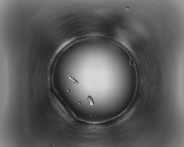 X0000086790933200704201841