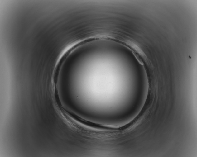X0000086790936200704201841