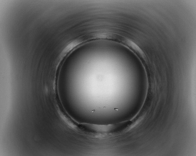 X0000086790938200704201841