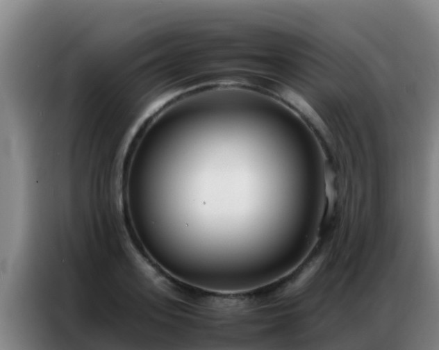 X0000086790939200704201841