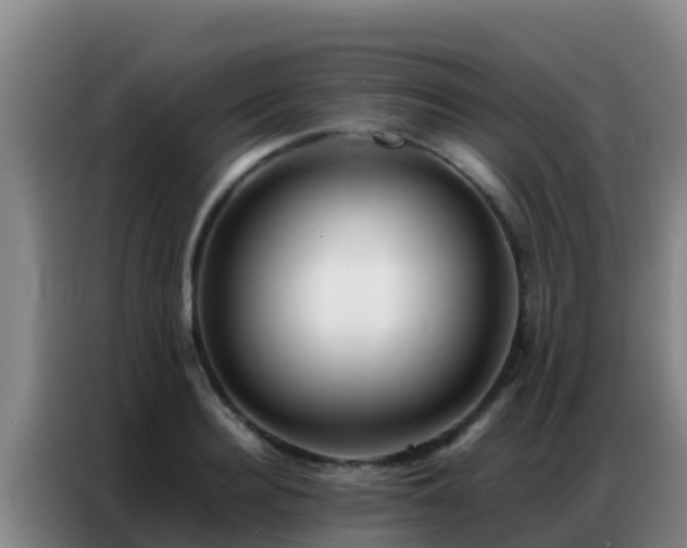 X0000086790940200704201841