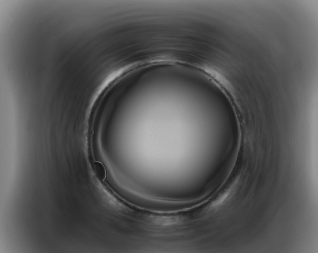 X0000086790941200704201841