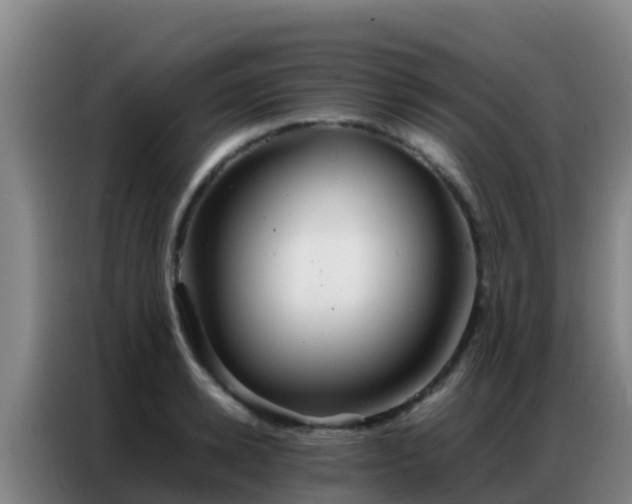 X0000086790942200704201841