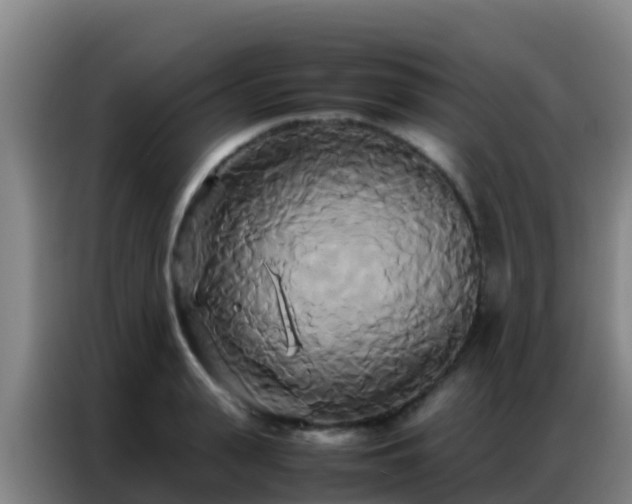 X0000086790943200704201841